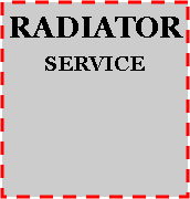 Text Box: RADIATOR SERVICE